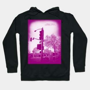 Windsor Road GRAPE SALTT, Glendale, California by Mistah Wilson Hoodie